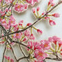 Framed Cherry Blossom Embroidered Artwork, thumbnail 6 of 6