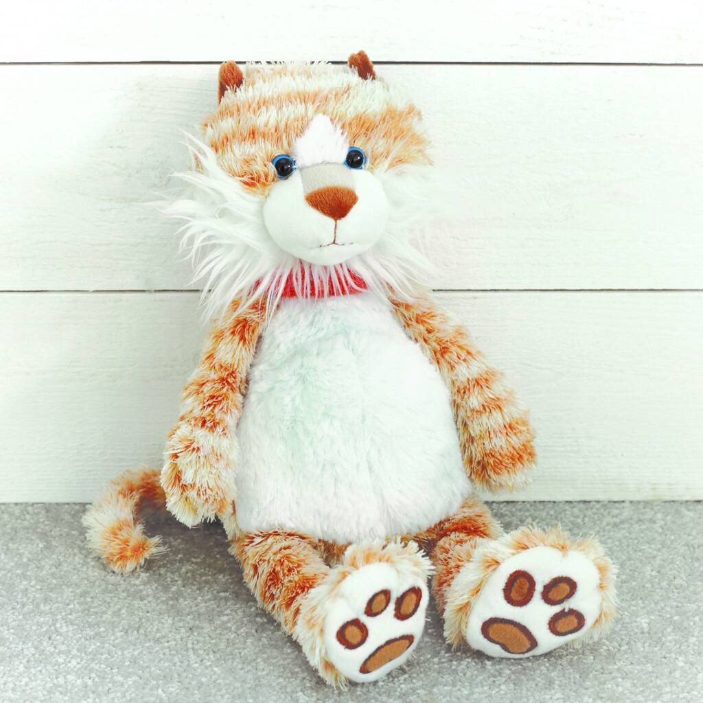 Ginge The Cat, Cuddly Companion Soft Toy, 1 of 5