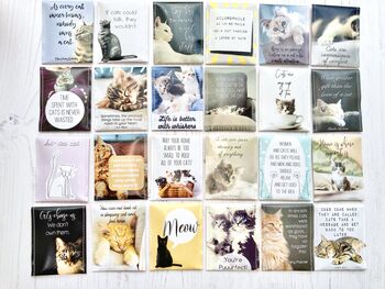 Cat Lovers Tea Gift Set, 11 of 11