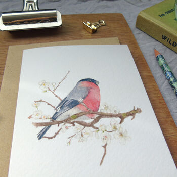 Bullfinch And Blossom Greetings Card, 3 of 10
