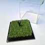 Golf Ball Display Case, thumbnail 3 of 10