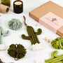 Make Your Own Mini Macrame Cactus Craft Kit, thumbnail 5 of 12