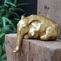 Peering Over Elephant And Giraffe In Silver And Gold, thumbnail 7 of 10