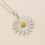 Personalised Sterling Silver April Daisy Birth Flower Necklace, thumbnail 1 of 8
