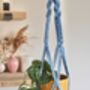 Diy Macrame Plant Hanger Kit, thumbnail 4 of 10