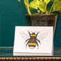 Hand Drawn Bumblebee Illustrated Blank Greeting Card, thumbnail 2 of 10