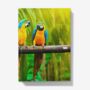 A5 Hardback Notebook Featuring Colourful Macaws, thumbnail 1 of 4