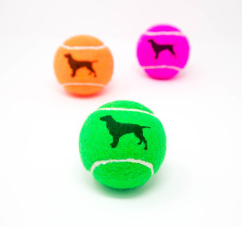 Spaniel Dog Tennis Balls, 5 of 5