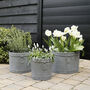 Ribbed Metal Planter With Hoop Handle, thumbnail 1 of 2
