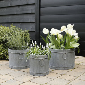 Personalised Plant Pots and Planters | notonthehighstreet.com