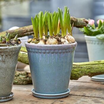 Lace Plant Pot And Saucer, 3 of 5