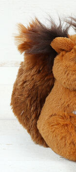 Red Squirrel Snuggly Soft Toy, From Birth, Boxed, 6 of 8