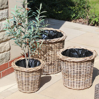 Round Rattan Planter, 3 of 5