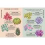 Houseplant Survival Guide, thumbnail 2 of 6