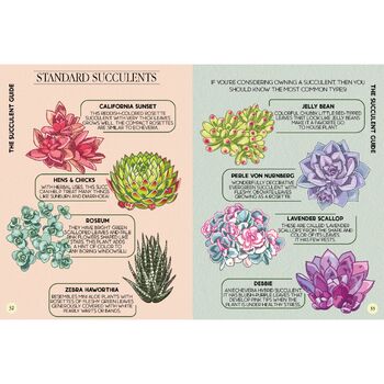 Houseplant Survival Guide, 2 of 6