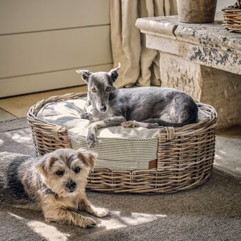 Hove Striped Pet Cushion With Signature Ticking Stripe, 3 of 8