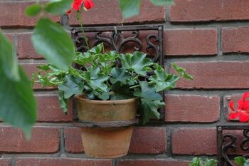 Brown Cast Iron Square Plant Pot Holder Hanging Bracket, 3 of 3