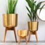 Brass Plant Pot On A Wooden Stand, thumbnail 1 of 3
