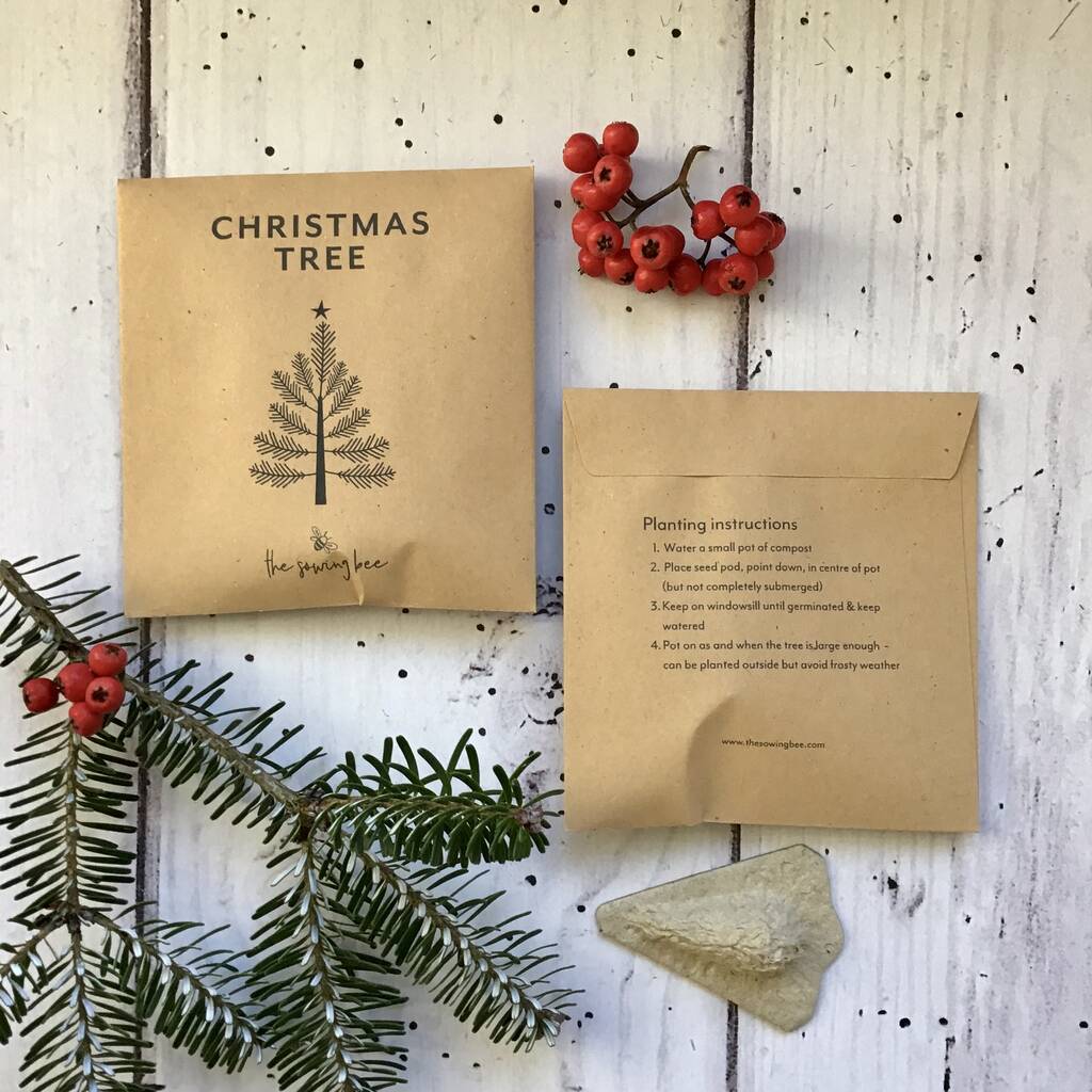 Grow Your Own Christmas Tree With Card By Border in a Box