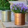 Set Of Two Country Style Embossed Garden Planters, thumbnail 3 of 10