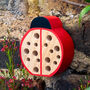 Lady Bird Insect Hotel And Bug House Garden Gift, thumbnail 1 of 3