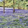 Bluebells At Enys Gardens, Cornwall Collage Art Card, thumbnail 5 of 6
