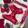 'Ho Ho Ho' Full Dog Harness Christmas Set, thumbnail 3 of 6