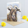 Aries Goat Greeting Card, thumbnail 1 of 2