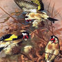 Brown Cushion Cover With Goldfinch Theme, thumbnail 2 of 7