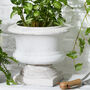 Aged Footed Jardinière Planter, thumbnail 1 of 5