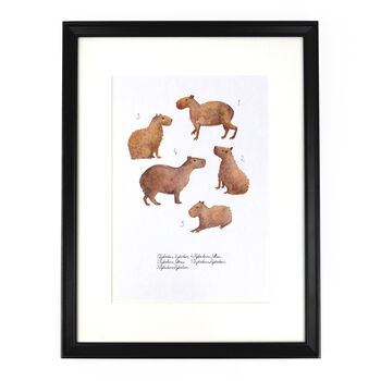 Chill Of Capybaras Art Print, 3 of 8
