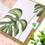 Monstera Variegata Card, thumbnail 3 of 9