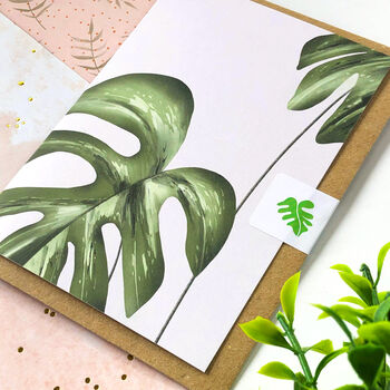 Monstera Variegata Card, 3 of 9