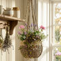 Seagrass Hanging Basket Planter, thumbnail 1 of 6