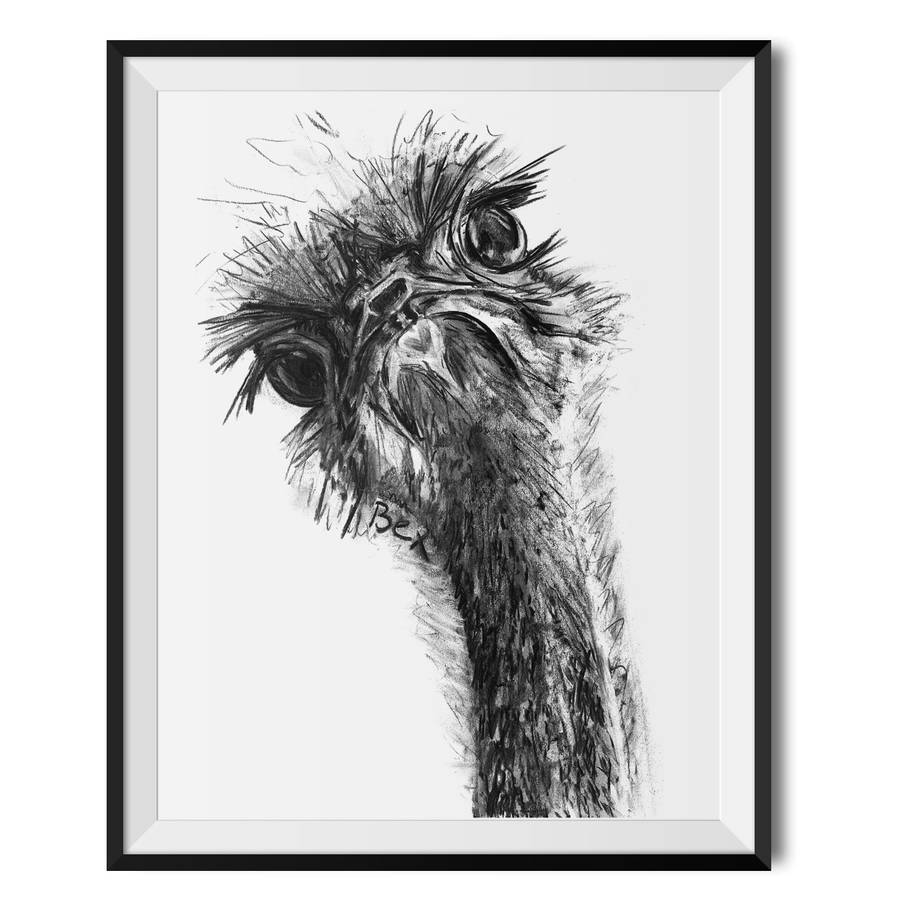 ostrich charcoal fine art giclée print by wraptious ...