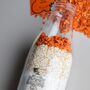 Carrot Cake Mix For Dogs, thumbnail 3 of 3
