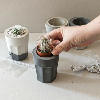 Concrete Planter Cactus Kit, 4 of 12