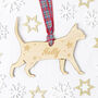 Personalised Pet Name And Shape Christmas Decoration, thumbnail 2 of 10