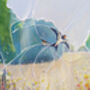 Summer Dance Over The Meadow, thumbnail 5 of 7