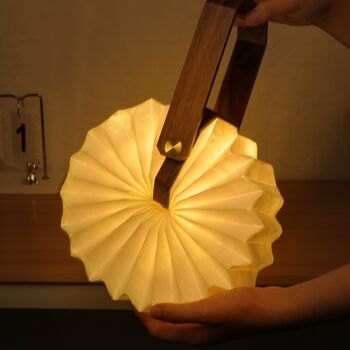Smart Origami Lamp, 3 of 10