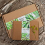 Gardeners Hamper Letterbox Gift Set, thumbnail 7 of 12