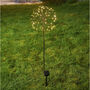 Solar Dandelion Outdoor Stake Light, thumbnail 4 of 4
