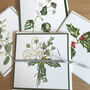 Winter Bouquet And Berries Botanical Card Pack, thumbnail 1 of 5