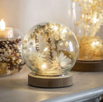 Glass Globe Dome With Dried Flora And LED, 2 of 6