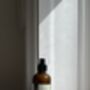 Ginger Root And Mandarin Rind Natural Hand Lotion, thumbnail 2 of 3