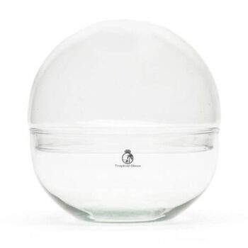 Empty Globe Terrarium Glass Container | H: 15 Cm, 5 of 5