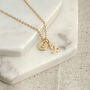 Gold Plated Capricorn Birthstone Necklace, thumbnail 2 of 6