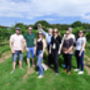 English Wine Tour With Travel From London, thumbnail 3 of 6
