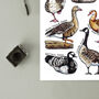 Geese Of Britain Watercolour Postcard, thumbnail 6 of 8