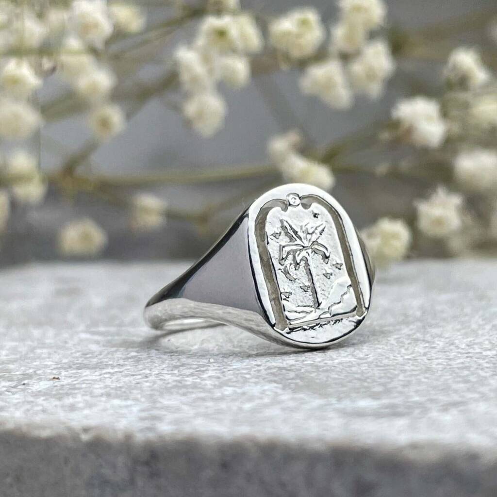 Sterling Silver Destiny Arch Signet Ring, 1 of 9